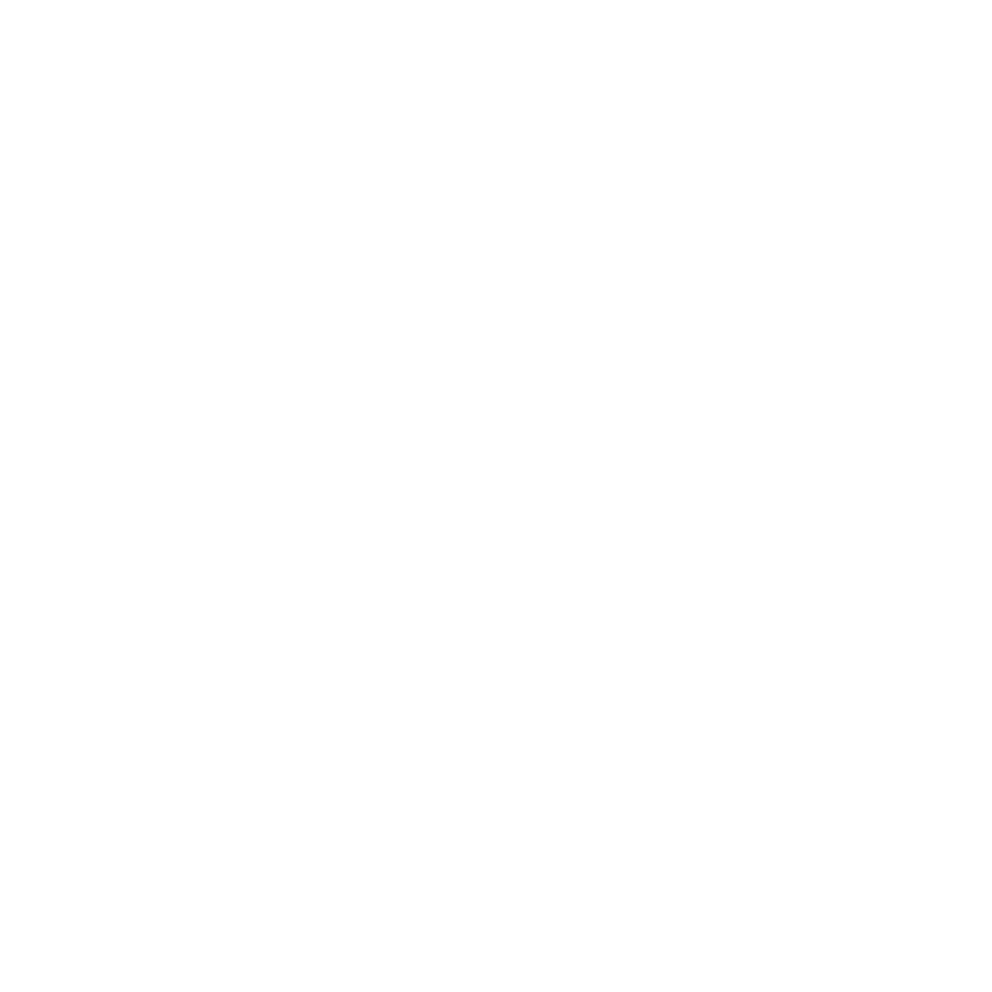 Summertime Kids Grant Logo
