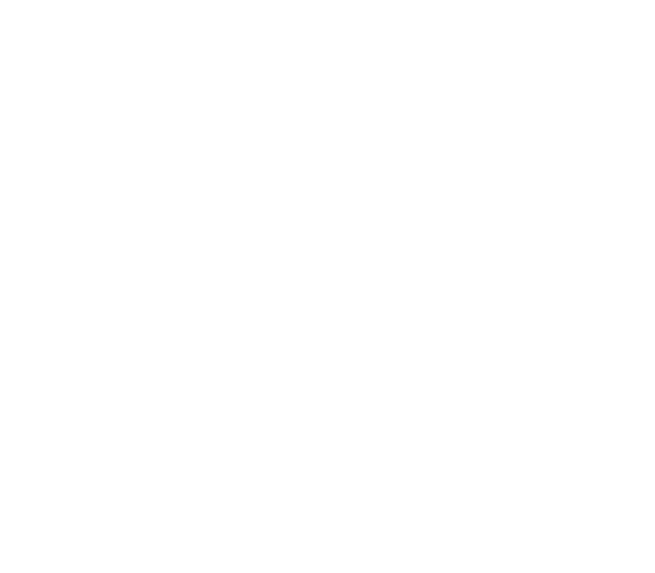 TheVault_Logo_White